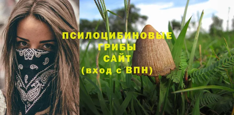 сайты даркнета клад  Тутаев  Галлюциногенные грибы Cubensis 